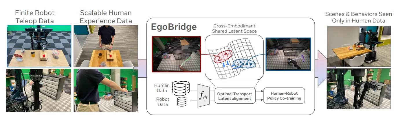 EgoBridge